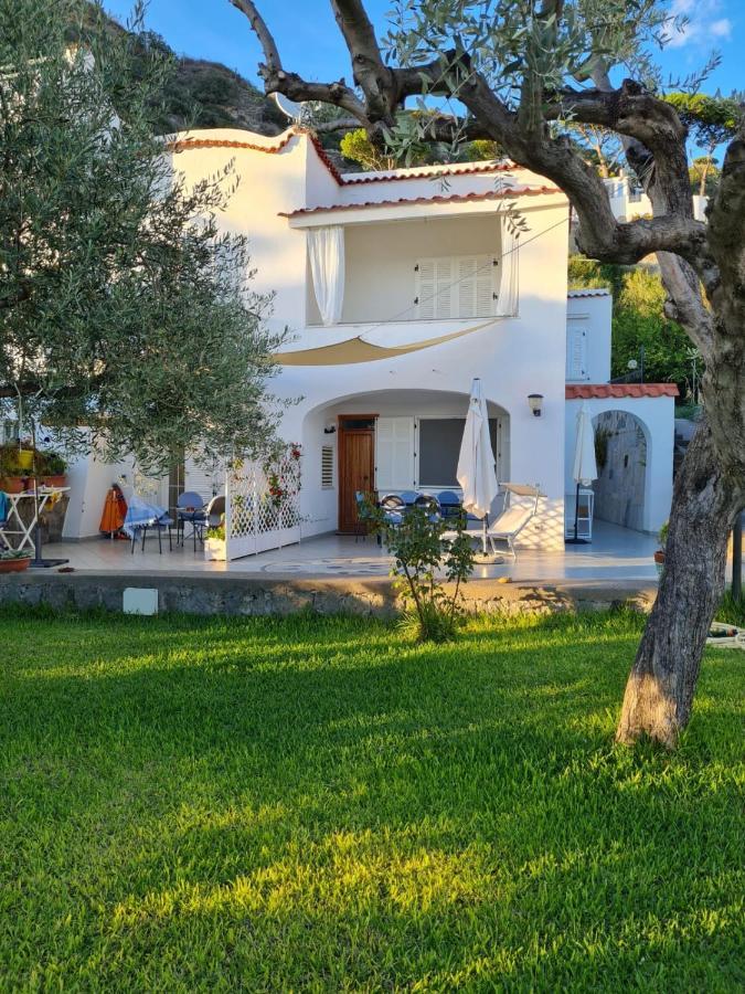 Blu Maronti Daire Barano dʼIschia Dış mekan fotoğraf