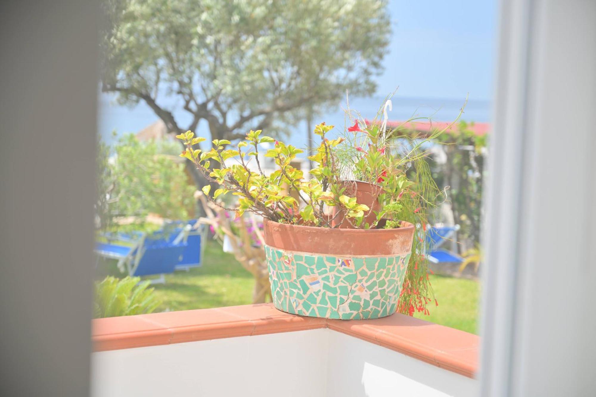Blu Maronti Daire Barano dʼIschia Dış mekan fotoğraf